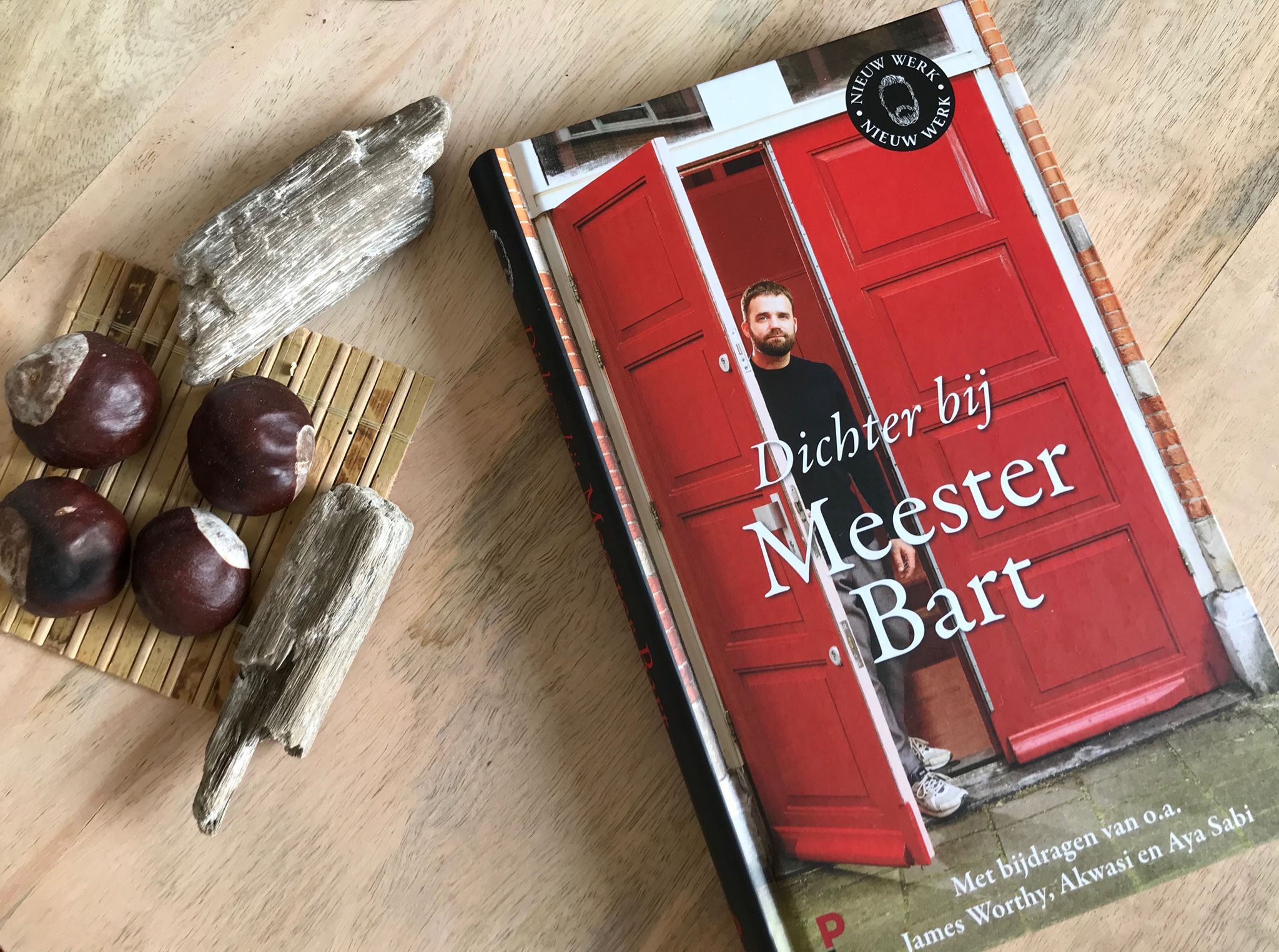 Dichter bij Meester Bart van Bart Ongering Recensie by Book Barista